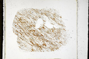 Plane Polarized, S98919
