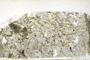 Plane Polarized, S98921