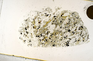 Plane Polarized, S98922