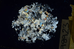 Cross Polarized, S98923