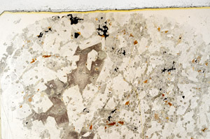 Plane Polarized, S98924