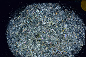 Cross Polarized, S98925