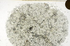 Plane Polarized, S98925