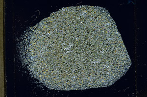 Cross Polarized, S98926