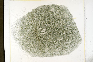 Plane Polarized, S98926