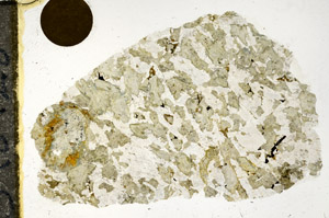 Plane Polarized, S98928