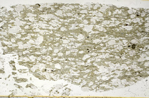 Plane Polarized, S98929