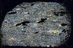 Cross Polarized, S98930