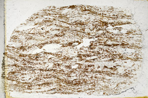 Plane Polarized, S98930