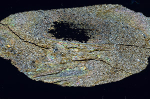 Cross Polarized, S98932