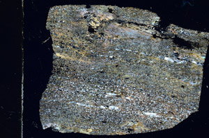 Cross Polarized, S98933