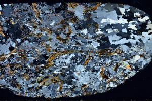 Cross Polarized, S98935