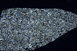 Cross Polarized, S98936