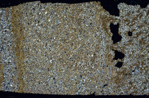 Cross Polarized, S98937