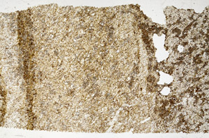 Plane Polarized, S98937