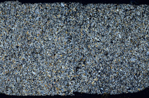 Cross Polarized, S98938