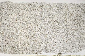 Plane Polarized, S98938