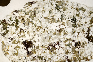 Plane Polarized, S98939