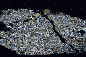 Cross Polarized, S98940