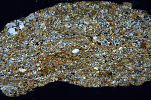 Cross Polarized, S98941