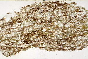 Plane Polarized, S98941