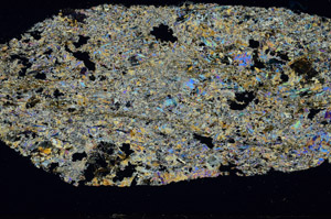 Cross Polarized, S98942