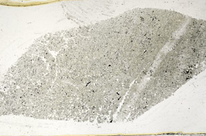 Plane Polarized, S98944