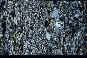Cross Polarized, S98967