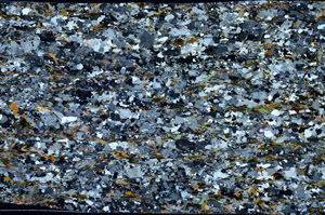 Cross Polarized, S98968