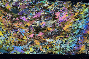 Cross Polarized, S98969