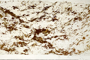 Plane Polarized, S98969