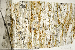 Plane Polarized, S98970