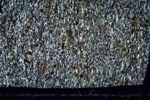 Cross Polarized, S98971