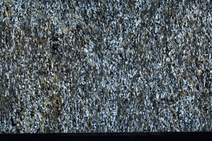Cross Polarized, S98972