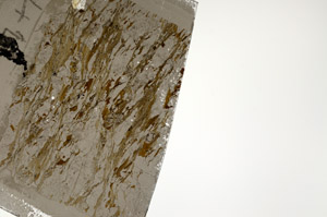 Plane Polarized, S98976