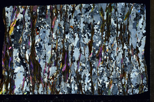 Cross Polarized, S98978