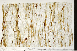 Plane Polarized, S98978