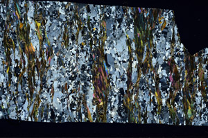 Cross Polarized, S98979