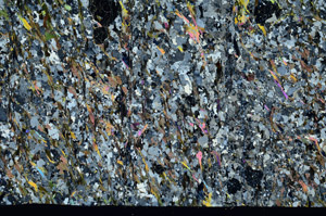 Cross Polarized, S98981