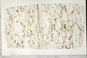 Plane Polarized, S98992