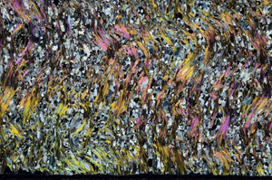 Cross Polarized, S98994