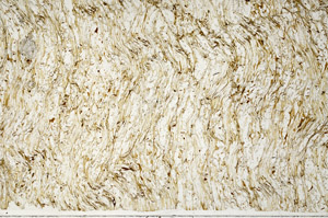 Plane Polarized, S98994