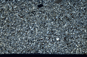 Cross Polarized, S99021