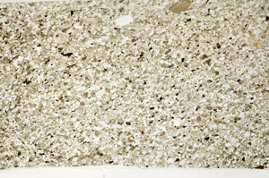 Plane Polarized, S99021