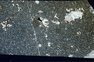 Cross Polarized, S99035