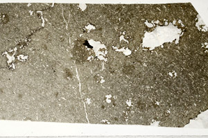 Plane Polarized, S99035