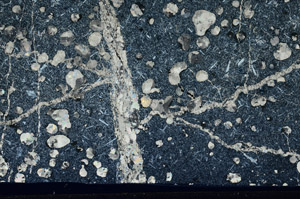 Cross Polarized, S99037