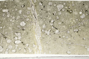 Plane Polarized, S99037