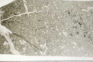 Plane Polarized, S99039