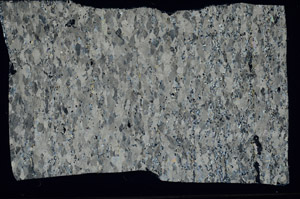 Cross Polarized, S99041